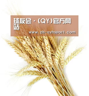 球友会·(QY)官方网站