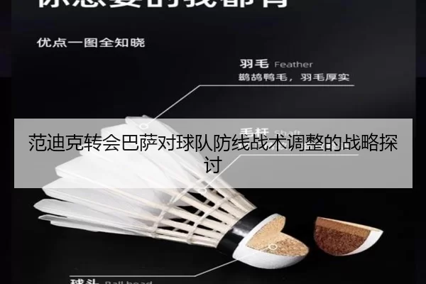 范迪克转会巴萨对球队防线战术调整的战略探讨